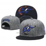 Cappellino Washington Wizards Grigio