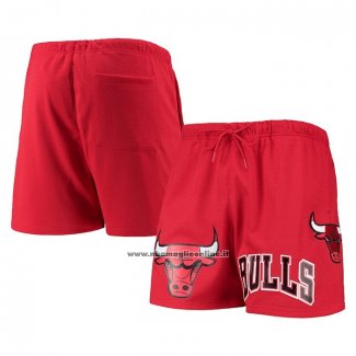 Pantaloncini Chicago Bulls Pro Standard Mesh Capsule Rosso